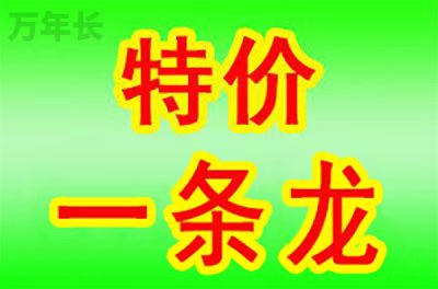 安徽安徽省淮南市大通区陵园有哪些优惠政策